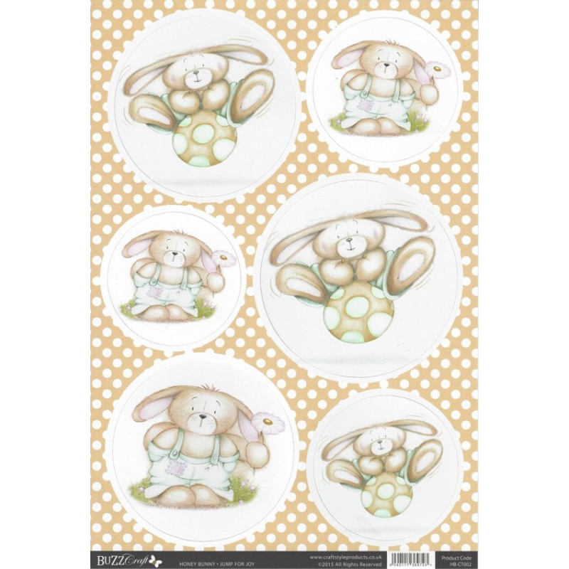 Buzz Craft A4 uitdrukvel - Honey Bunny - Jump for Joy 3D (HB-CT002)